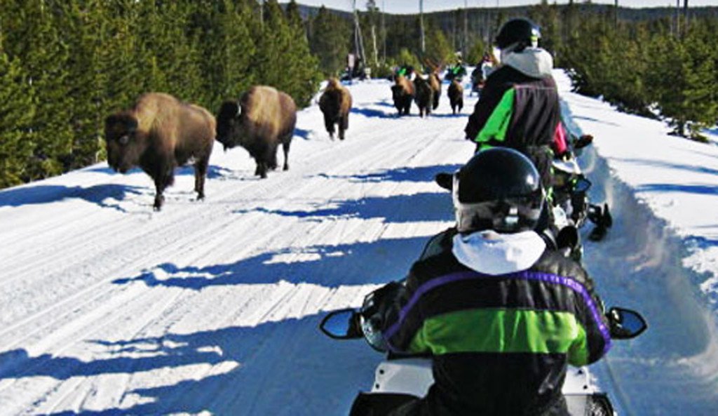 snowmobile tours yellowstone park