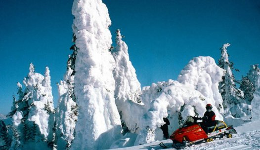 snowmobile tours in yellowstone national park