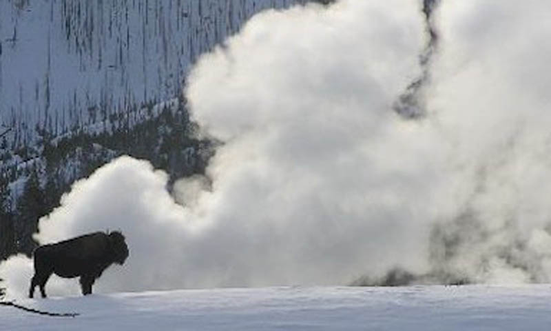 snowcoach tour old faithful